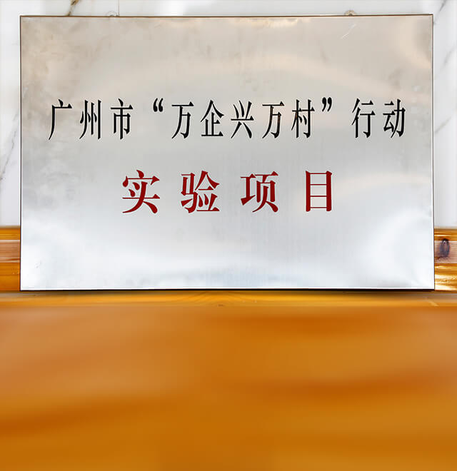 热烈庆祝立白科技集团获评2023年度广州市“万企兴万村”行动实验项目